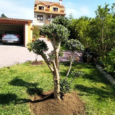 Casa A Brana Apartman O Grove