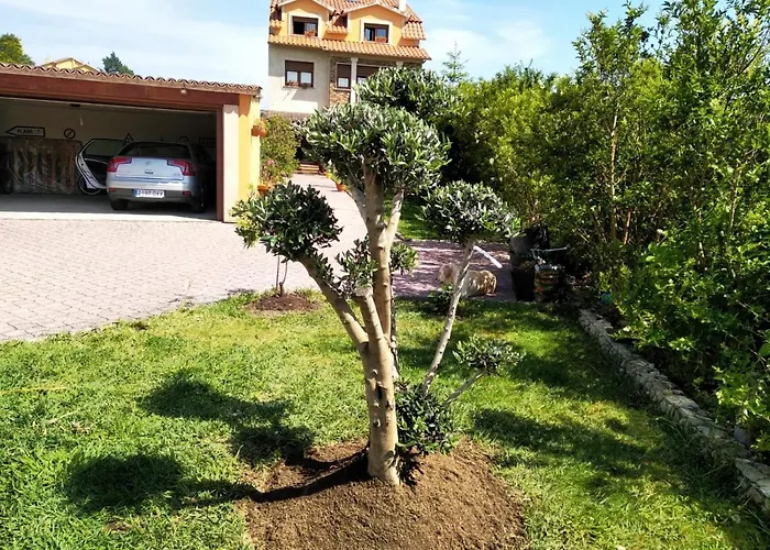 Casa A Brana Apartment O Grove